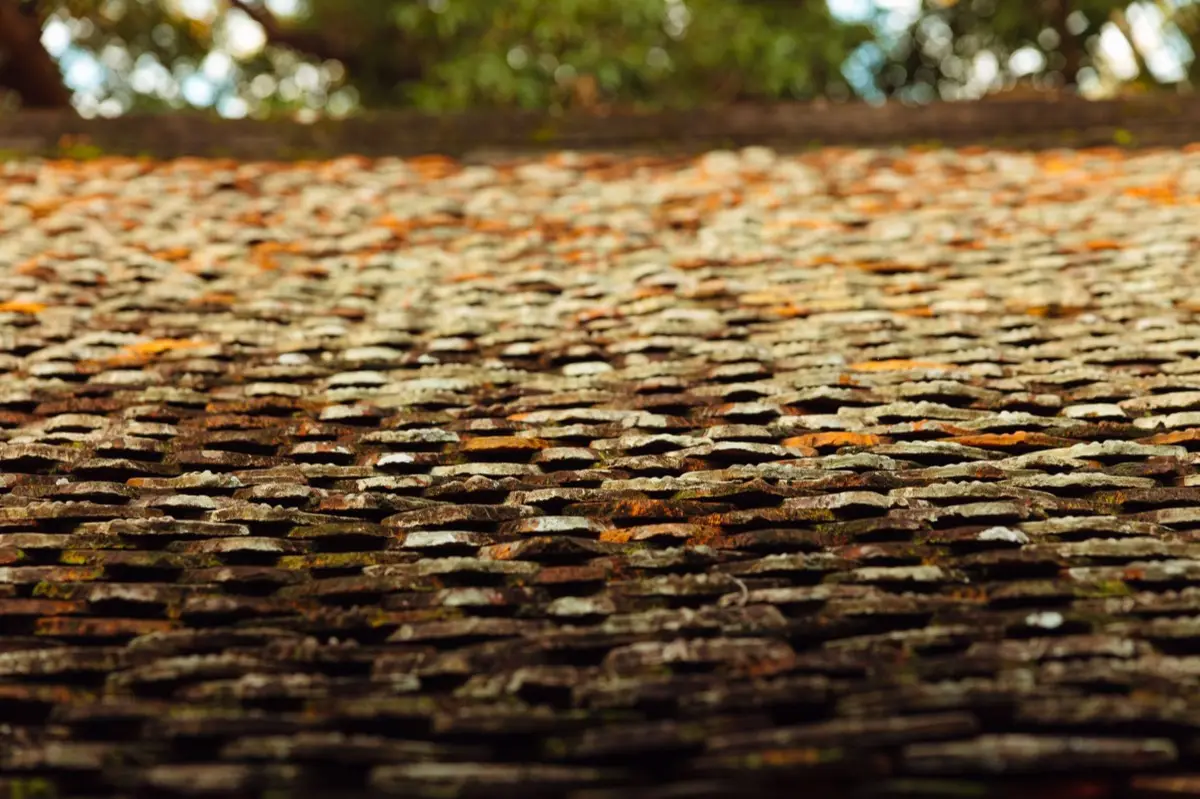 Aging shingle roof with moss growth and granule loss in Surprise, AZ