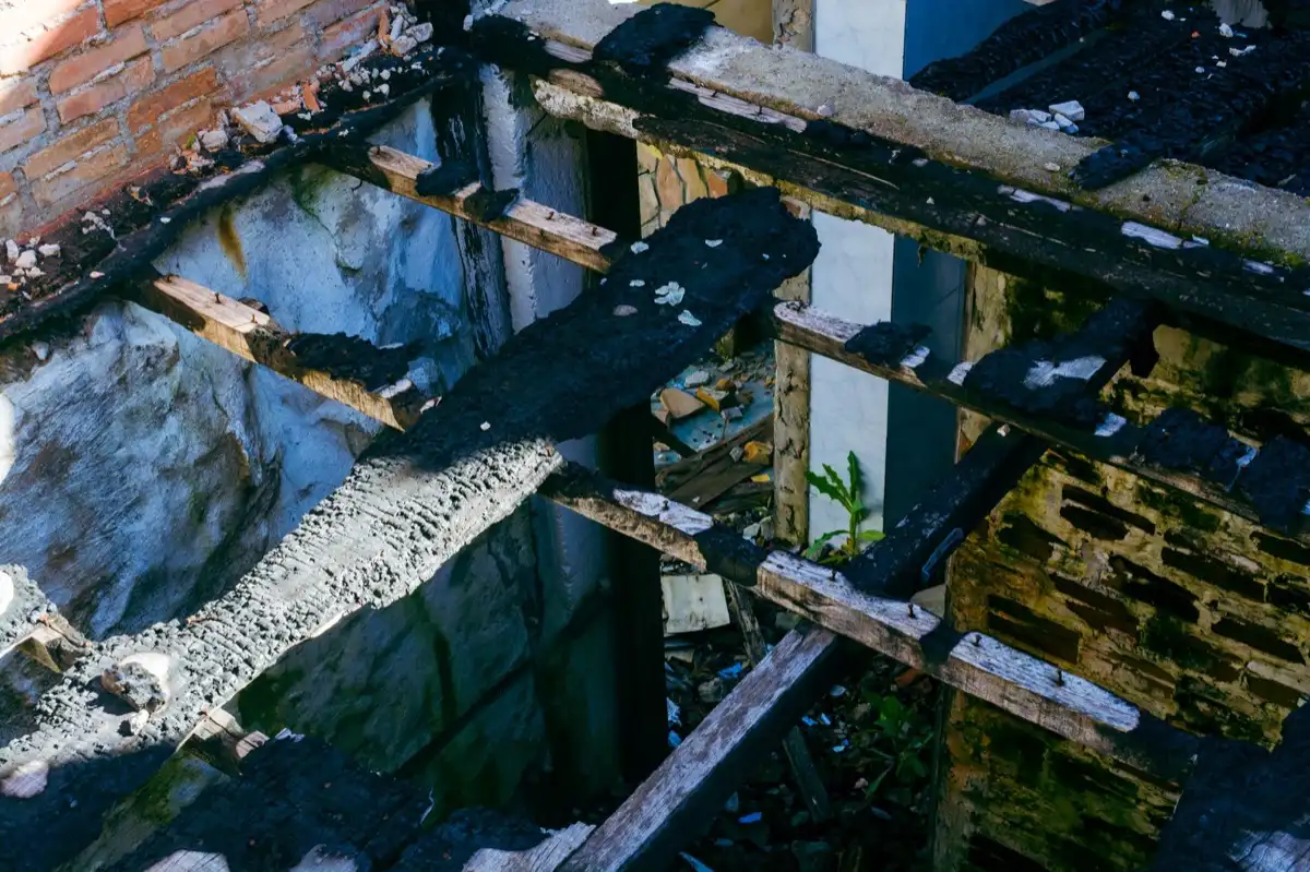 Rotted sheathing and rafters exposed under a long-running roof leak in Surprise, AZ